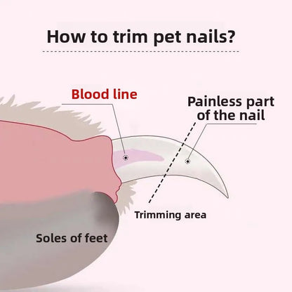 2 in 1 Electric Pet Nail Trimmer