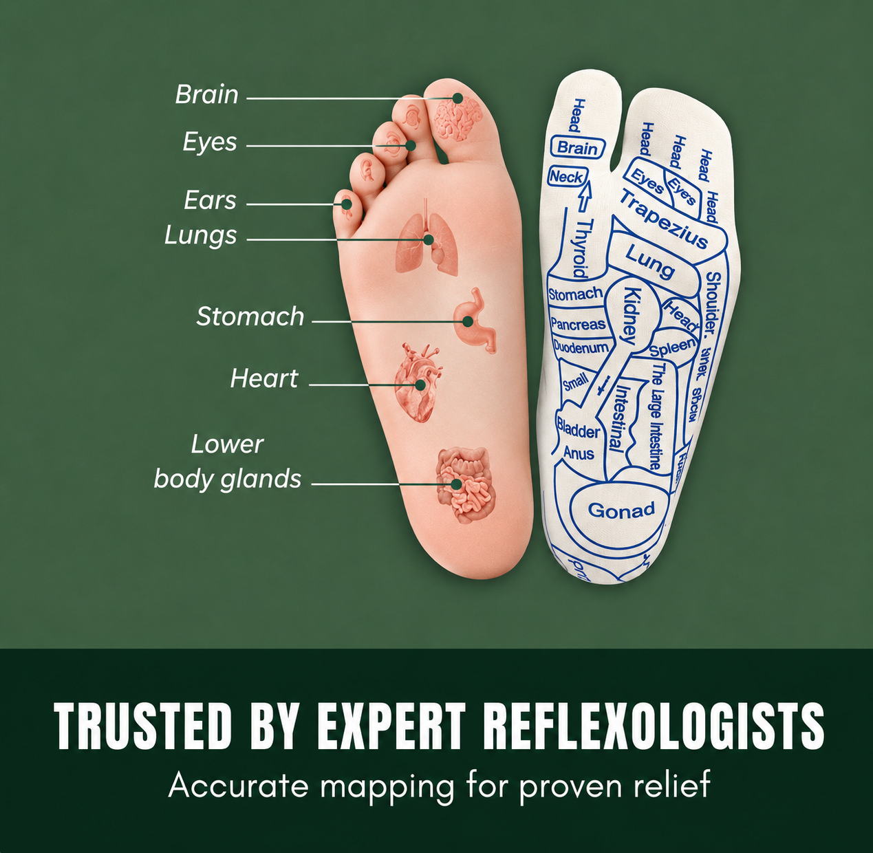 Footzenco™ ReflexTherapy Socks